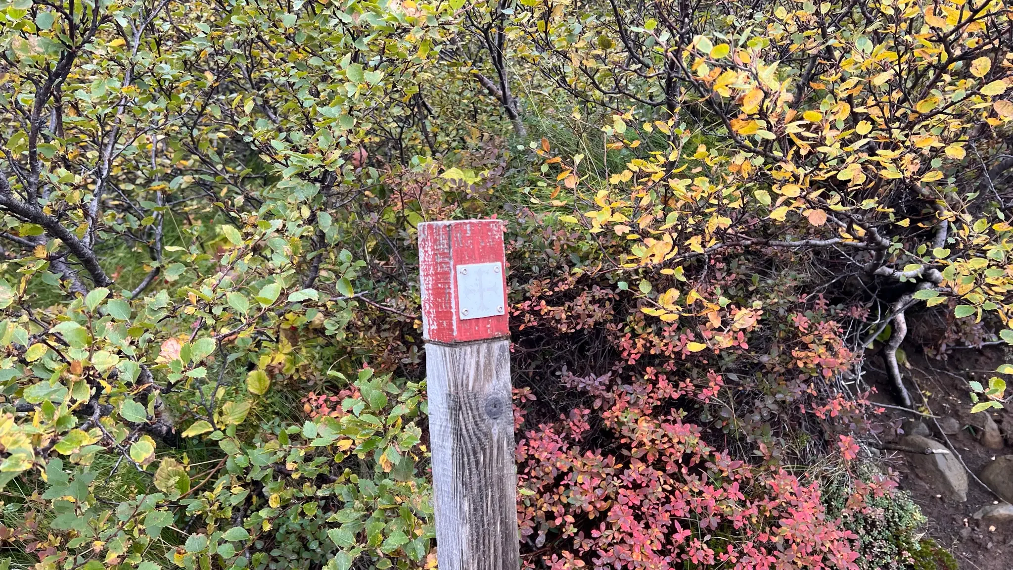 Trail markers
