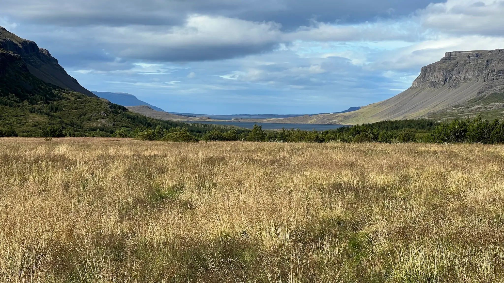 Meadow near the end